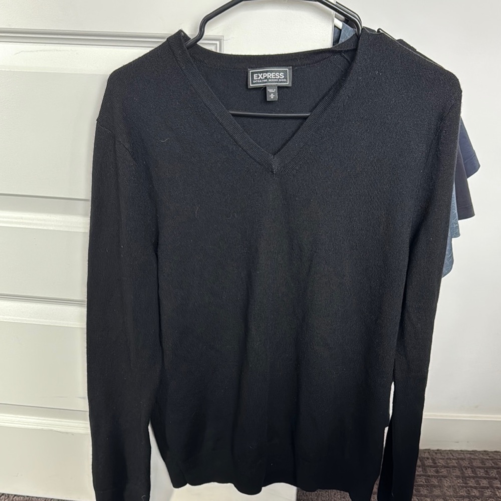 Express Extra Fine Merino Wool Sweater